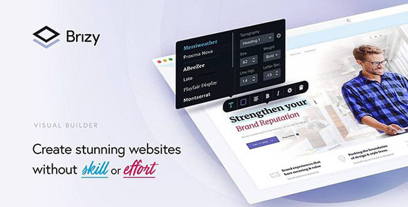 Brizy Pro Wordpress Page Builder