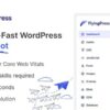 FlyingPress WordPress Speed Optimization Plugin