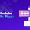 DiviFlash - All in One Divi Plugin