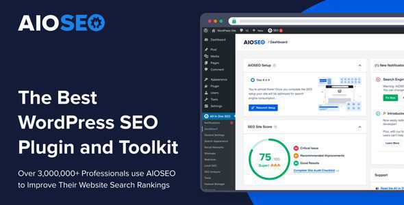 All in One SEO Pack Pro