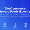 WooCommerce Reward Points