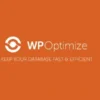 WP-Optimize Premium